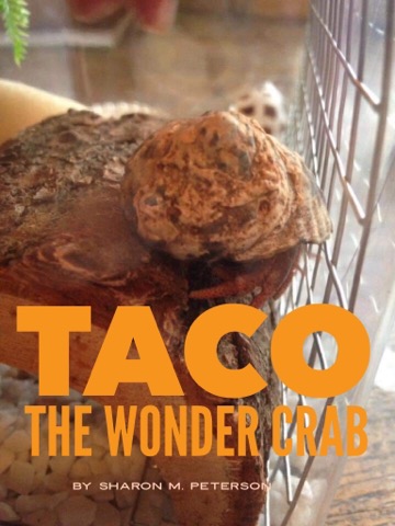 Taco the Wonder Crab: A hermit crab and the many times he almost died